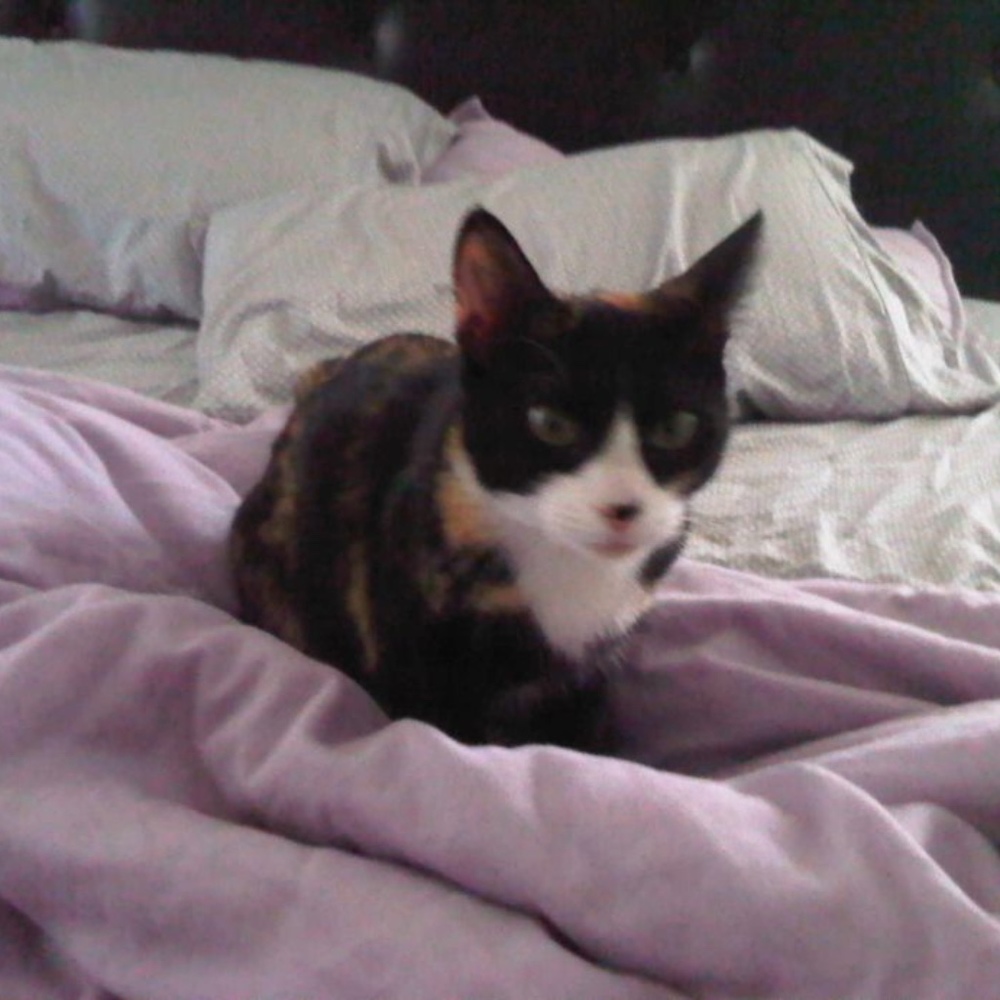 Meet your Posher, Jo